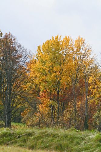 automne-03