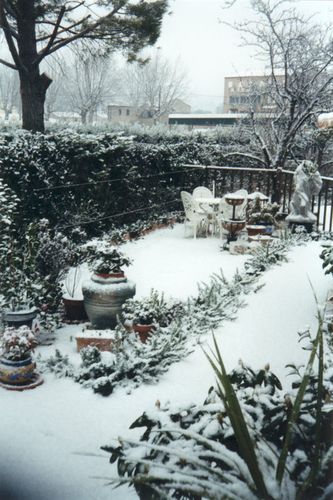 IMG_0003.jpg