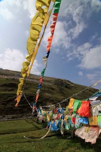 Pays-Kham 8018