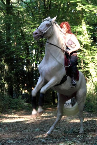 kerboularbre-2011 3323