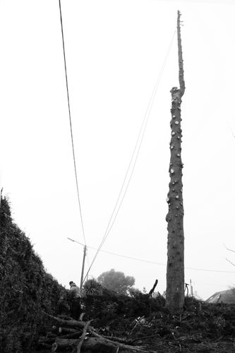 reportage-photos-par-agnes-g-photographe 9720