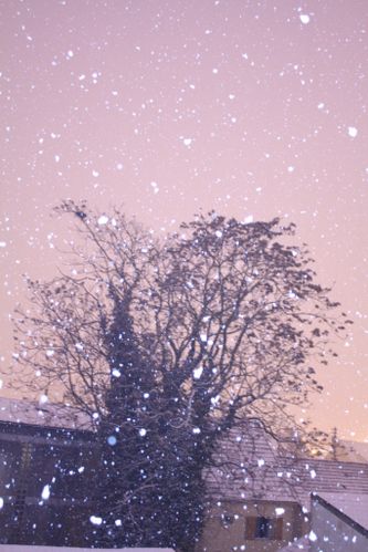 Photographie 0252