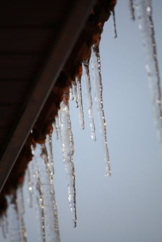 Photographie 0318