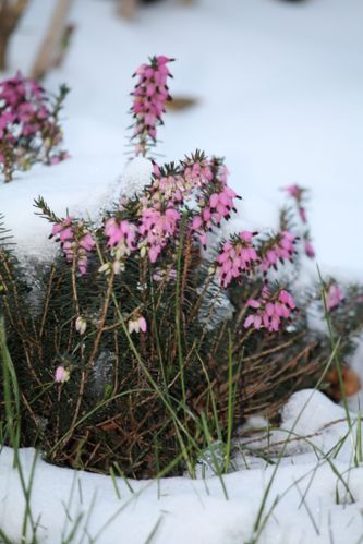 Photographie 0327