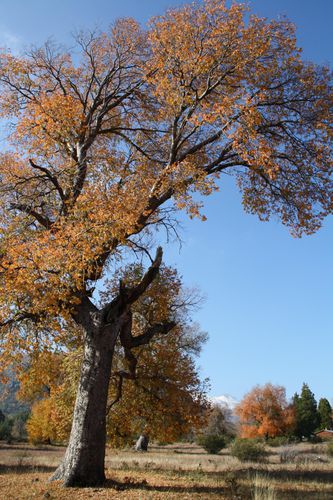 dernieresphotosd-automne2010-lastautumn2010--3-.JPG