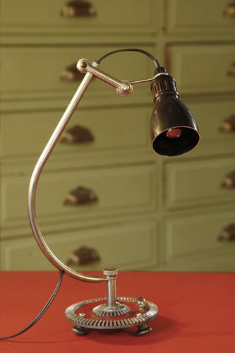 articulée 14