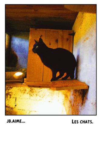 chats