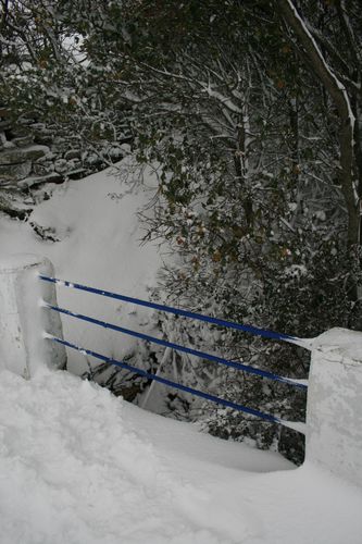 neige-080.JPG