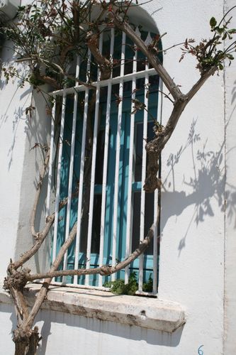 Tinos-190.JPG