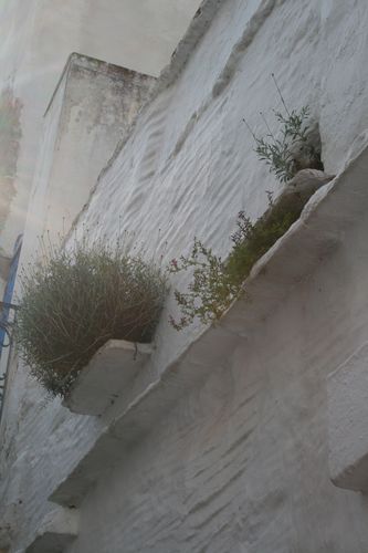 Tinos-286.JPG