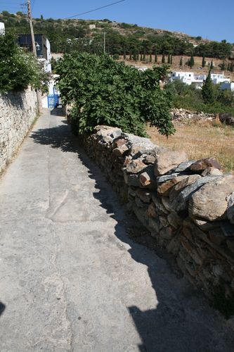 cigales-019.JPG