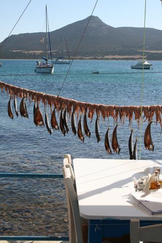 punta-006.JPG