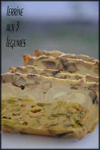 terrine 3 légumes 1