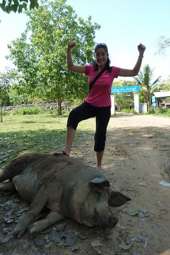 Battanbang cochon (3)