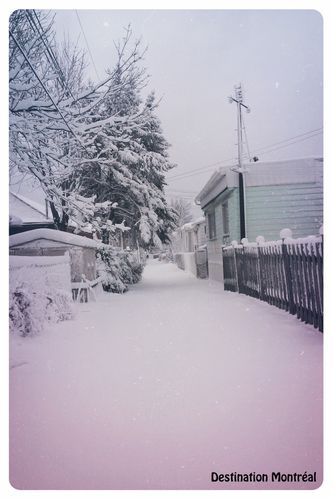 2014-12-14 neige (8)