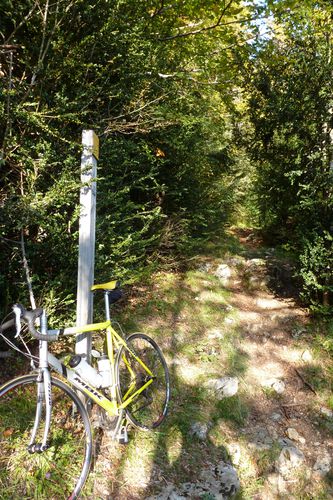 P1020159-copie-1