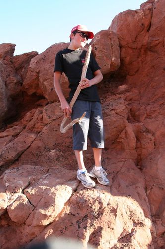 Arches NP 1065