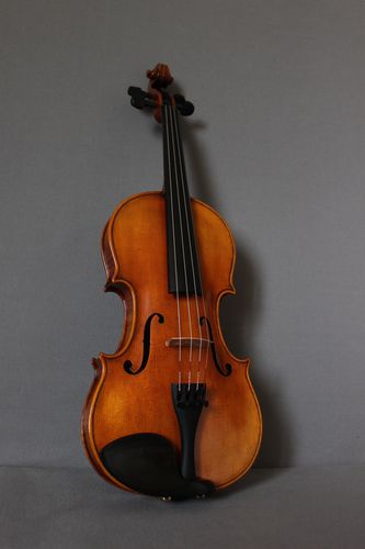 Electrification violons - Violon, archet et instruments à cordes.  Spécialiste lutherie et archèterie.