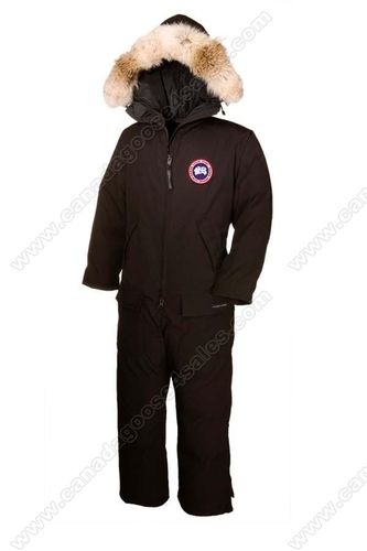 canada goose fur got wet canada goose fur got wet