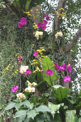 botanic-garden 8686