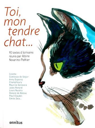 Toi-mon-tendre-chat-1.JPG