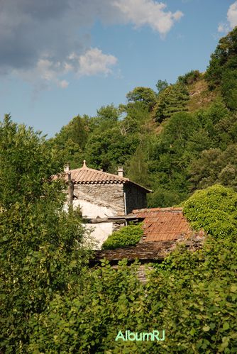 19 Vallée Borgne - tourgueille