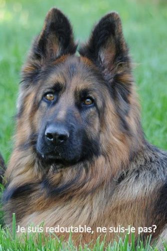 Doomi-copain-de-Fenrir.jpg