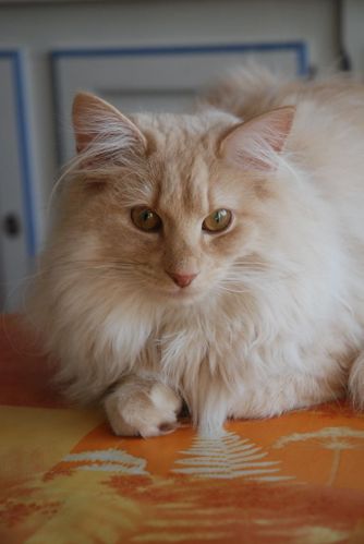 BALADE-PATRICIA-20110002.JPG