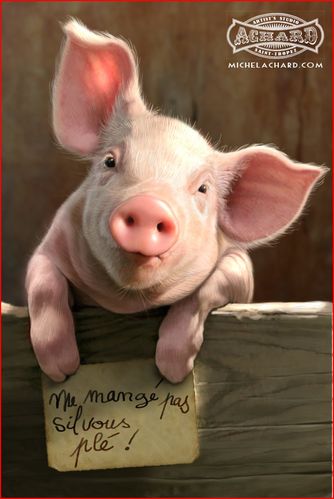 petit-cochon