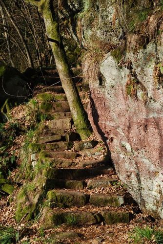 K05 - Mont Ste Odile - Mur Paien - hexenplatz - Dreistein [