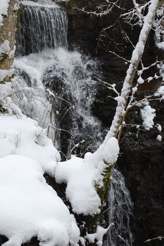 DSC 0014