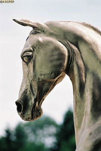 chevalarabe3