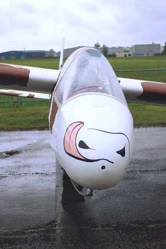 IMGP6536.JPG