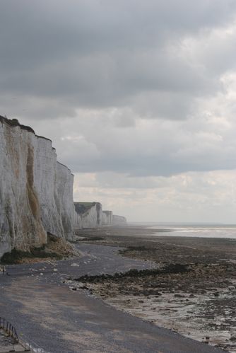 Baie-de-somme 0084