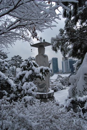 Séoul sous la neige (57)