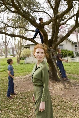 tree of life