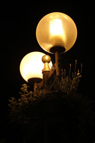 lampadaires-nuit.jpg