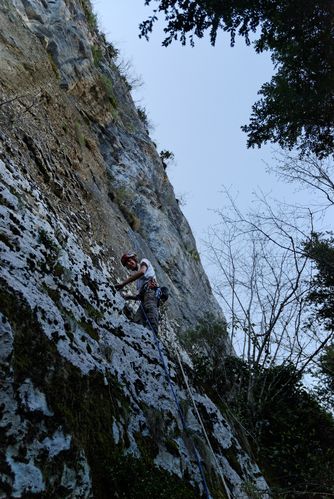 DSC_0043.jpg