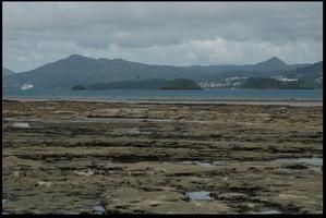 plage-des-badamiers.jpg