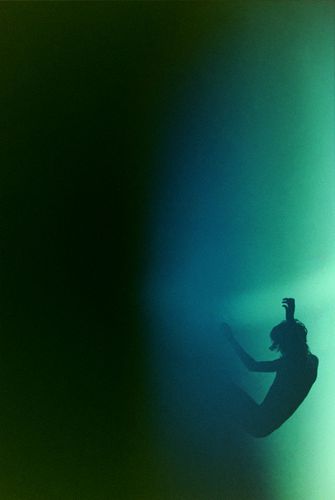 mcginley fading falling 2007