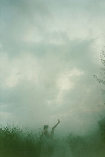 mcginley_falling_cornfield.jpg