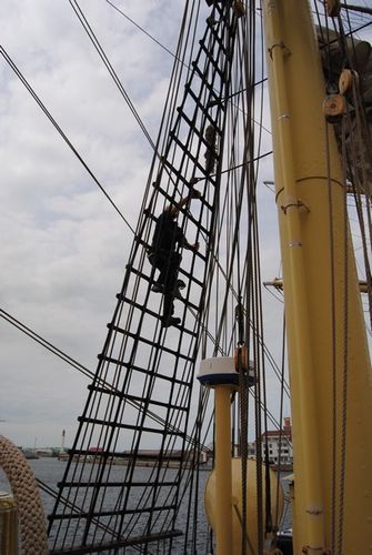 24-06-2011-033.jpg