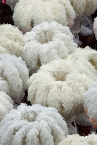 bouquet de plumes