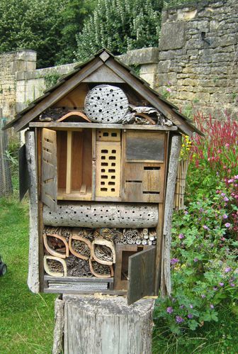 photos-articles 0213-copie-1