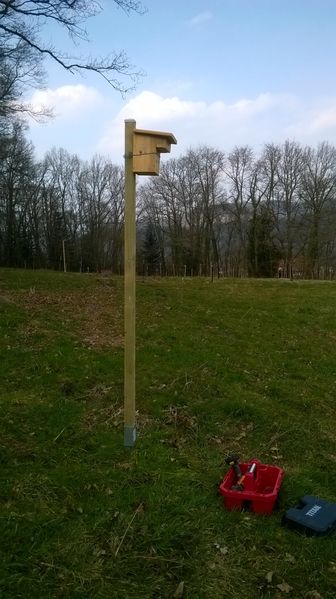 WP_20150314_009.jpg