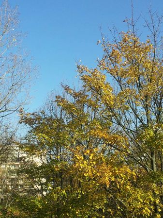 20121114 141728