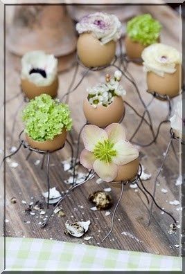 oeufs1
