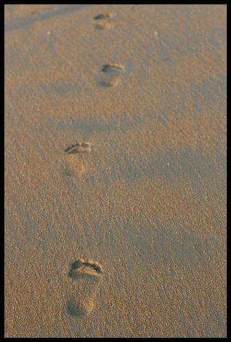 Bretagne-2012-709--redim-.JPG