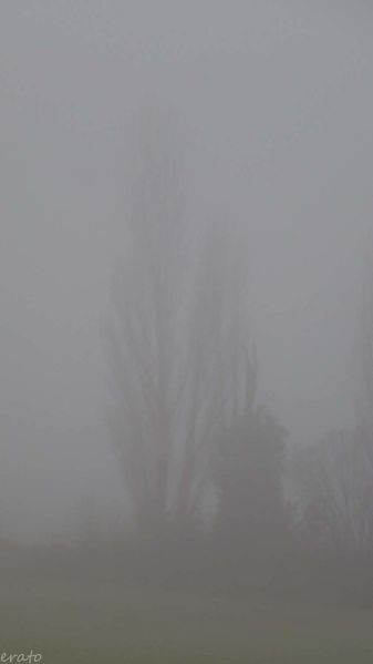 21decembre2012-007a.jpg