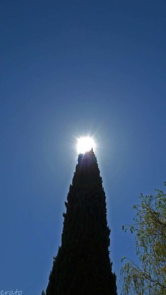 ciel-008a.jpg